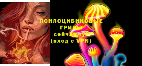 эйфоретик Кулебаки