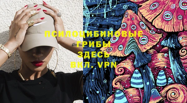 герыч Козловка