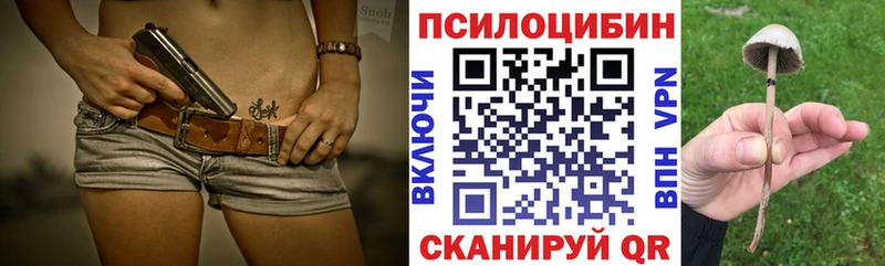 Псилоцибиновые грибы мицелий  Циолковский 