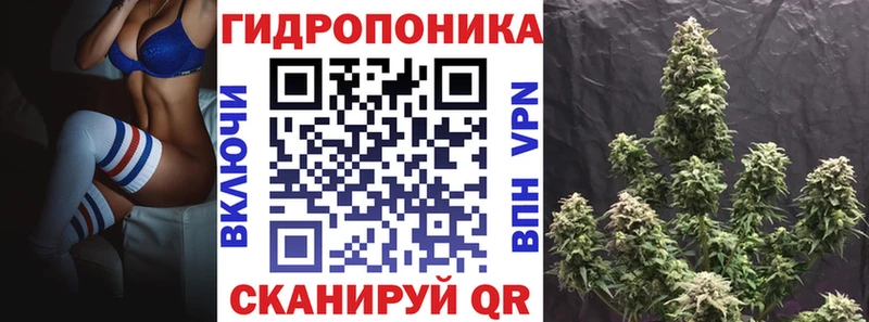 Конопля SATIVA & INDICA  Циолковский 
